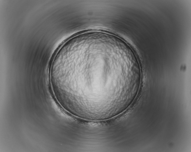 X0000113241032200909241541