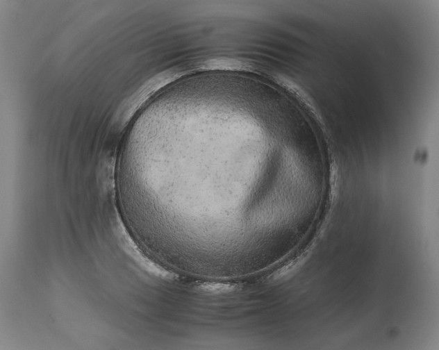 X0000113241033200909241541