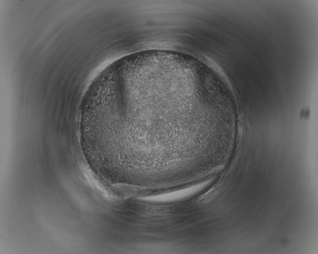 X0000113241035200909241541