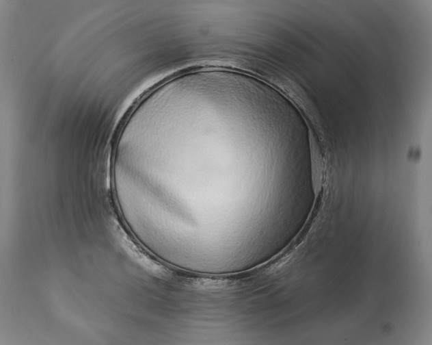 X0000113241036200909241541