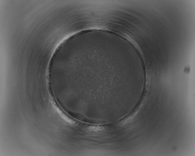 X0000113241037200909241541