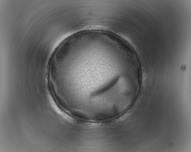 X0000113241038200909241541