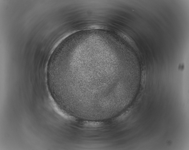 X0000113241039200909241541