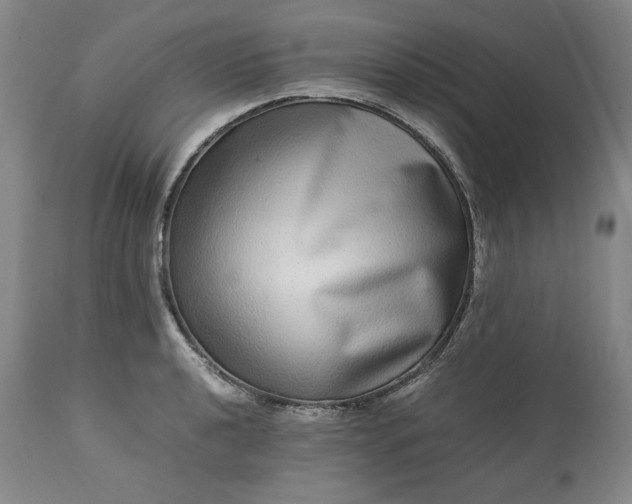 X0000113241040200909241542