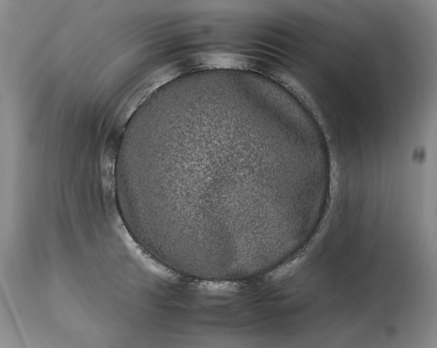 X0000113241041200909241542