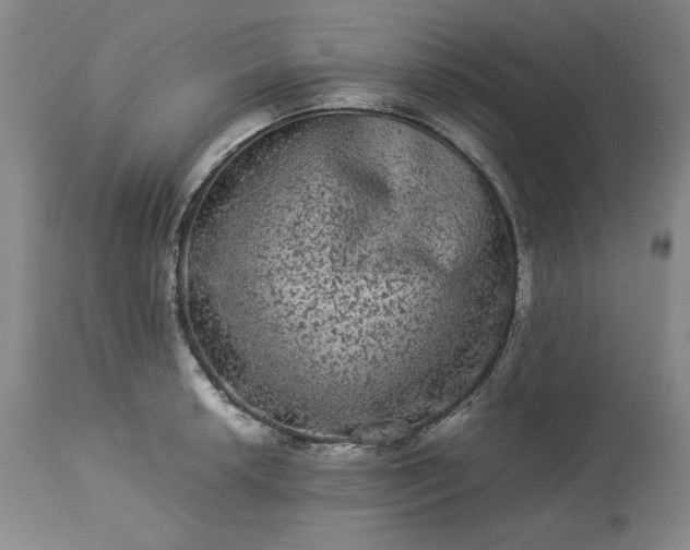 X0000113241042200909241542