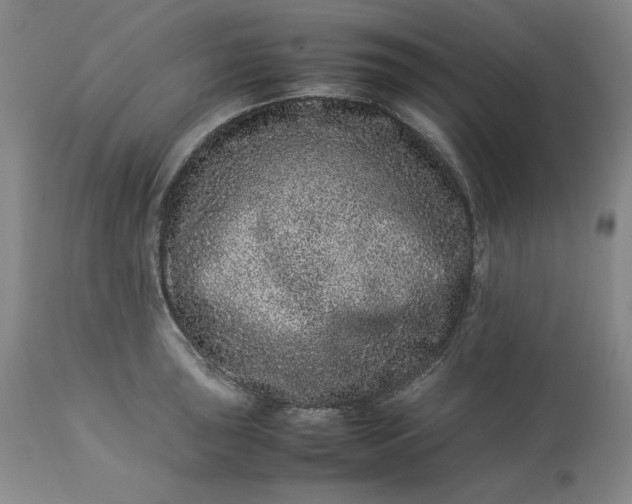 X0000113241043200909241542