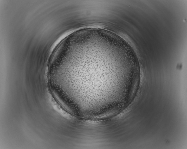 X0000113241044200909241542