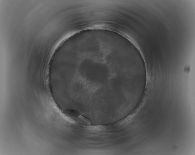 X0000113241045200909241542