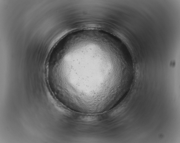 X0000113241047200909241542