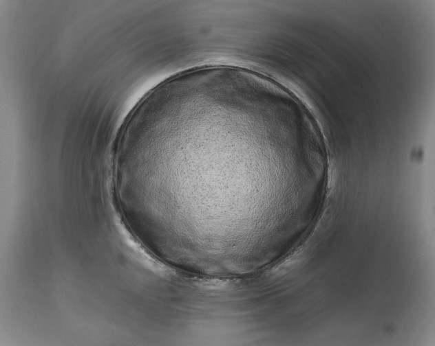 X0000113241048200909241542