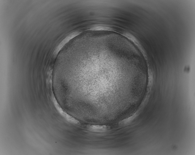 X0000113241049200909241542