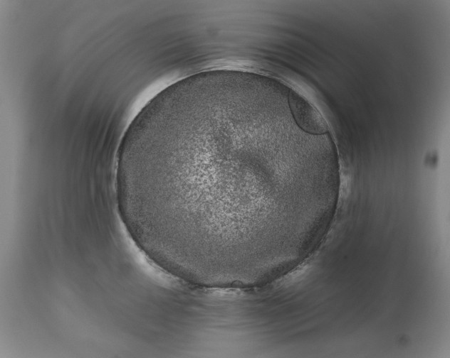 X0000113241050200909241542