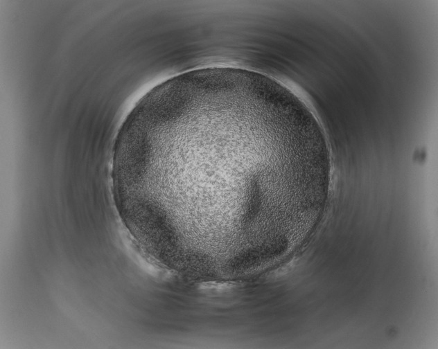 X0000113241051200909241542