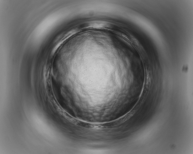 X0000113241052200909241542