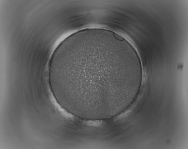 X0000113241053200909241542