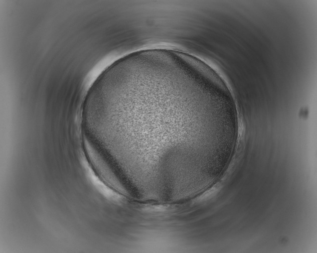 X0000113241054200909241542