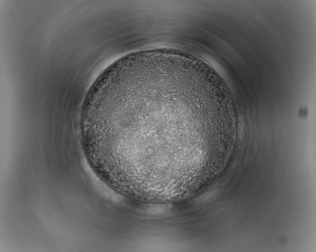 X0000113241055200909241542