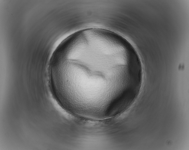 X0000113241056200909241542