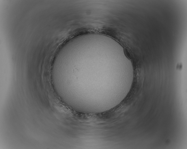 X0000113241057200909241541