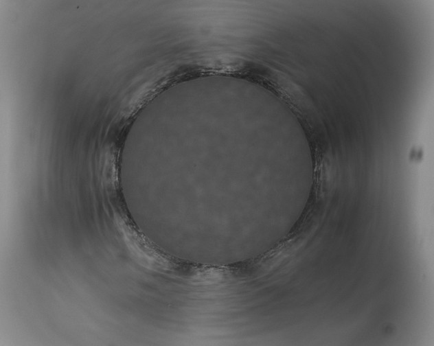 X0000113241058200909241541