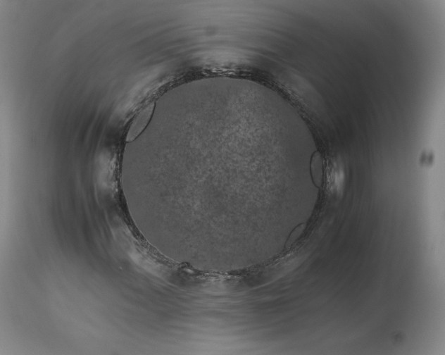 X0000113241060200909241541