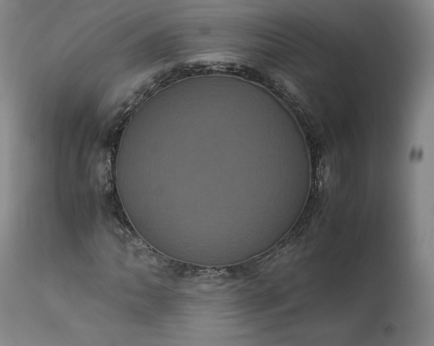 X0000113241062200909241541