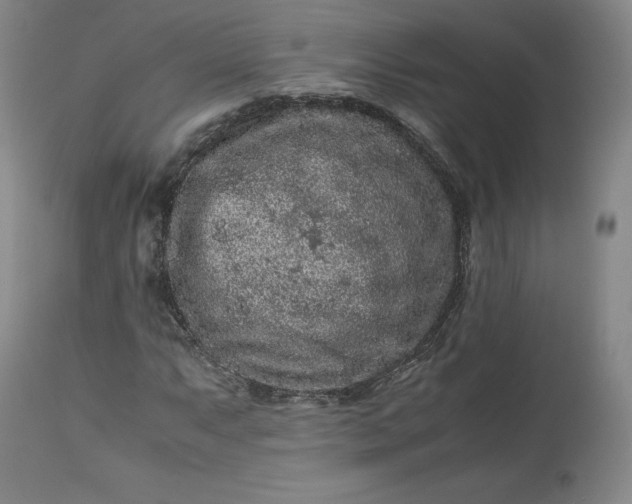 X0000113241063200909241541