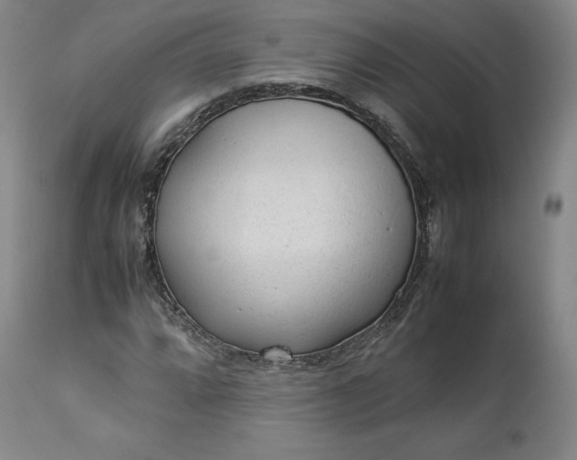 X0000113241064200909241541