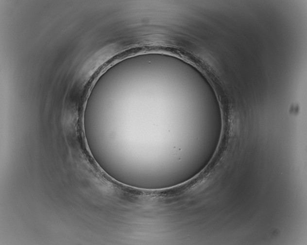 X0000113241065200909241541