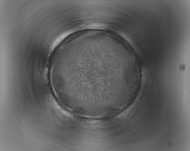 X0000113241066200909241541