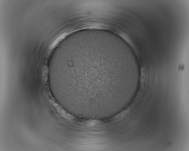 X0000113241067200909241541