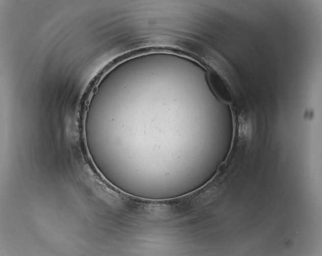 X0000113241068200909241541