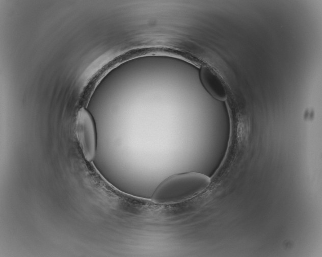 X0000113241069200909241541