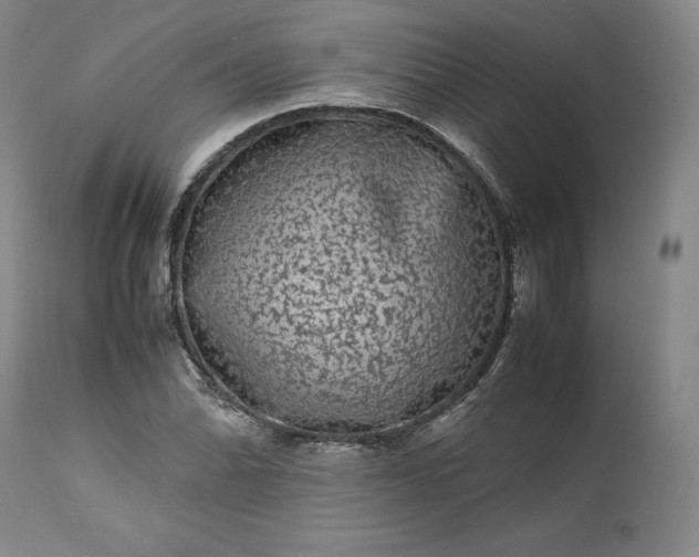 X0000113241070200909241541