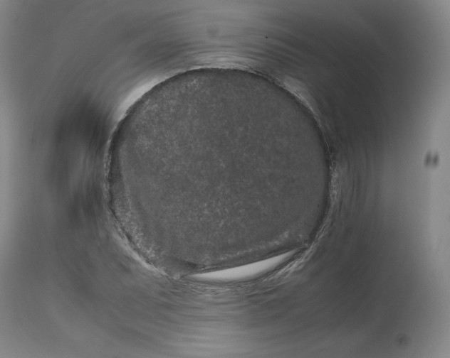 X0000113241071200909241541