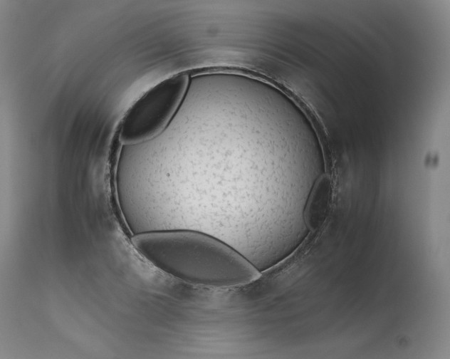 X0000113241072200909241541