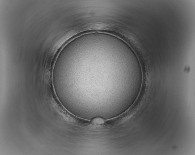 X0000113241073200909241541