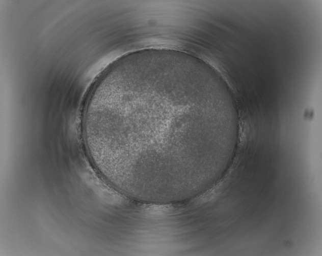 X0000113241074200909241541