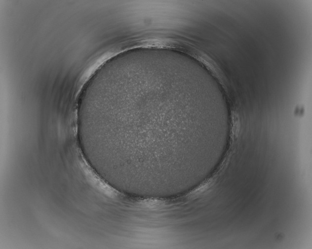 X0000113241075200909241541