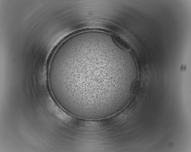 X0000113241076200909241541