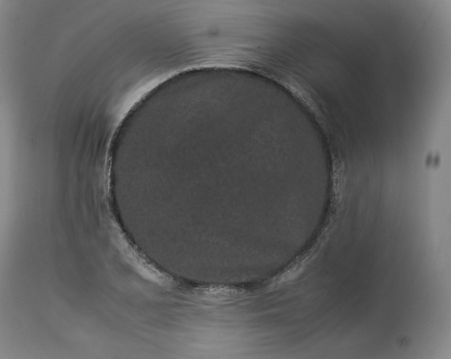 X0000113241077200909241541