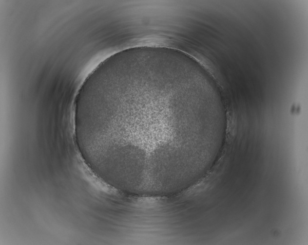 X0000113241078200909241541