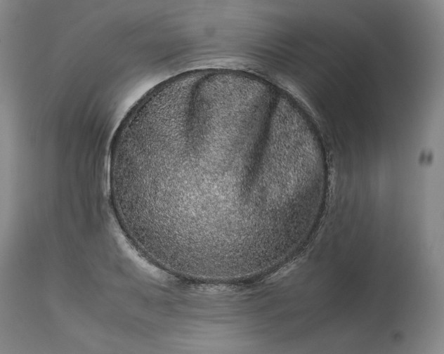 X0000113241079200909241541