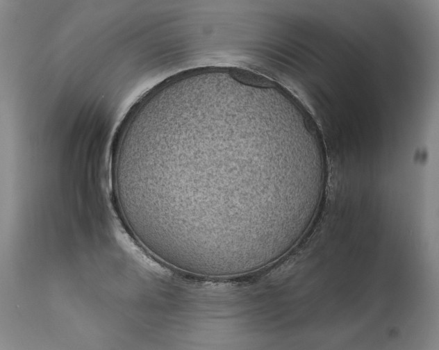 X0000113241080200909241541