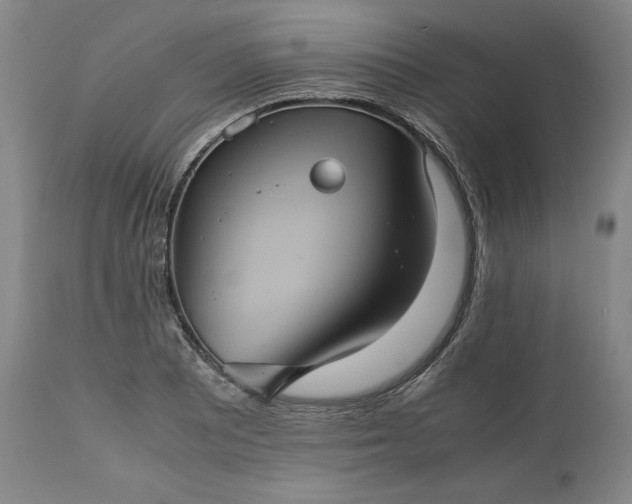 X0000113241081200909241541