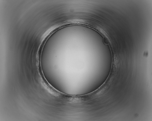 X0000113241082200909241541