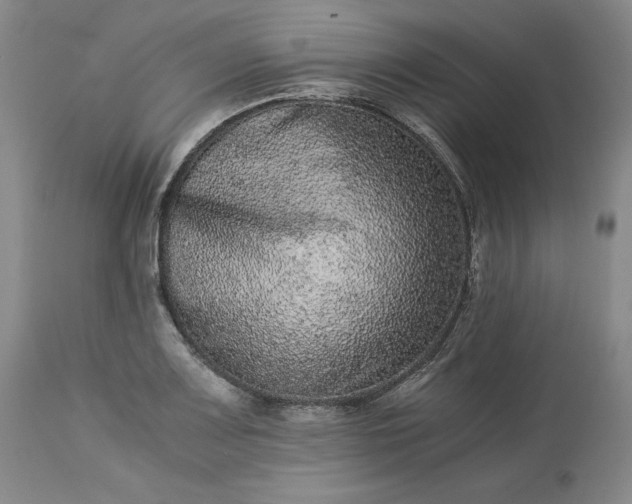 X0000113241083200909241541