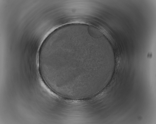 X0000113241084200909241541