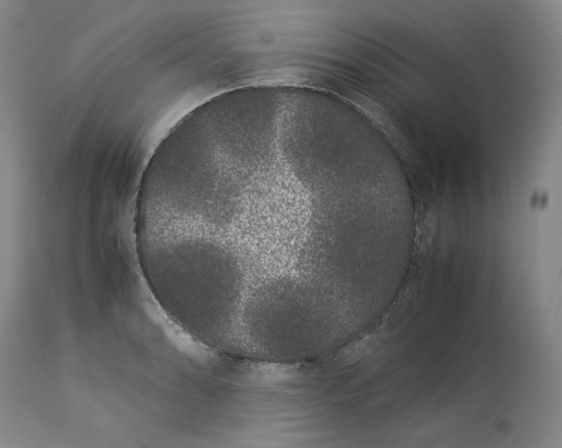 X0000113241086200909241541